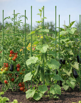 Growsun portable garden trellis for indoor and outdoor use.