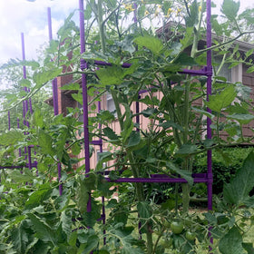 Growsun ribbed-side stakes keep ties in place during plant growth.