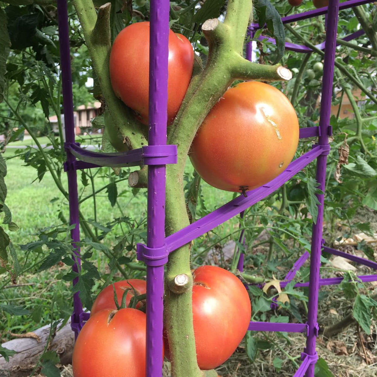 Growsun steel-core stakes with purple coating offer durability and weather resistance.
