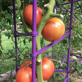 Growsun steel-core stakes with purple coating offer durability and weather resistance.