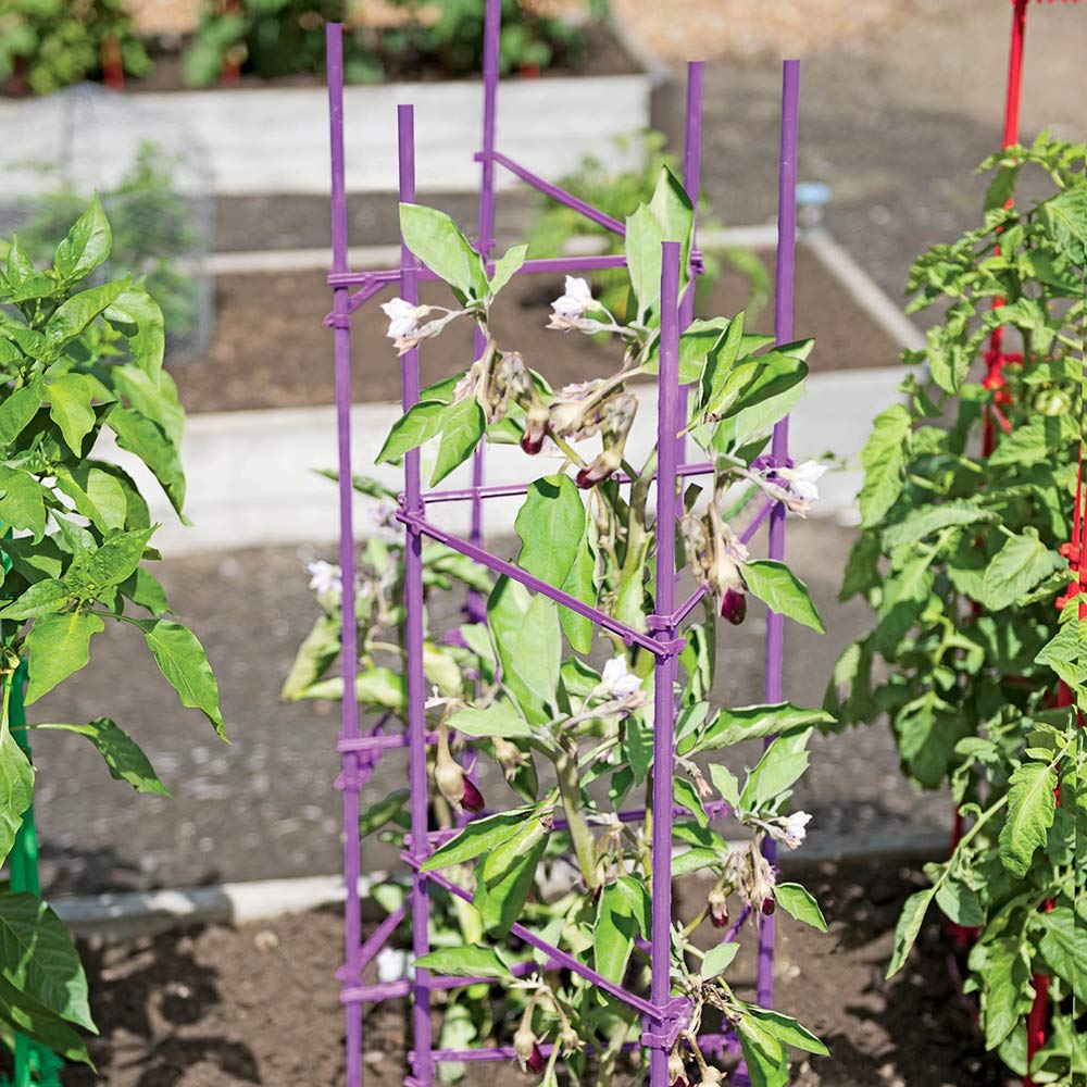 Growsun tomato cage ideal for trellises and climbing plants