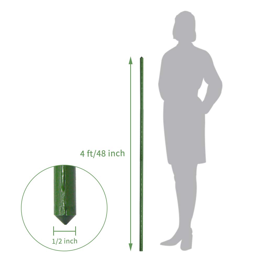Growsun tomato stake 4ft, vertical support for healthy fruiting plants.