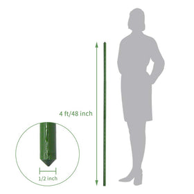 Growsun tomato stake 4ft, vertical support for healthy fruiting plants.