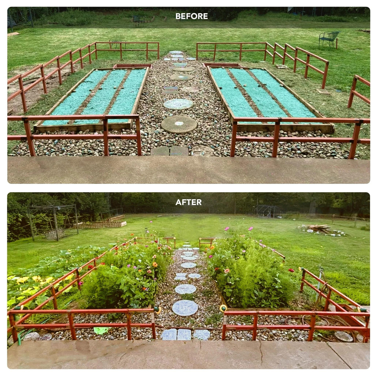 Growtrax Lavender Roll border and walkway planting for drought-tolerant, vibrant garden edges.