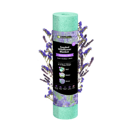 Growtrax Lavender Roll: English lavender seeds bloom for fragrant borders and pollinator-friendly gardens.