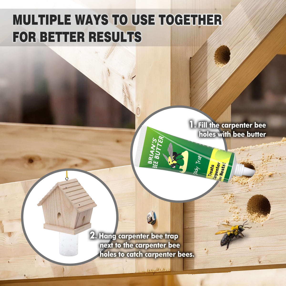 GRTRE pheromone attractant bait drawing carpenter bees into the trap.
