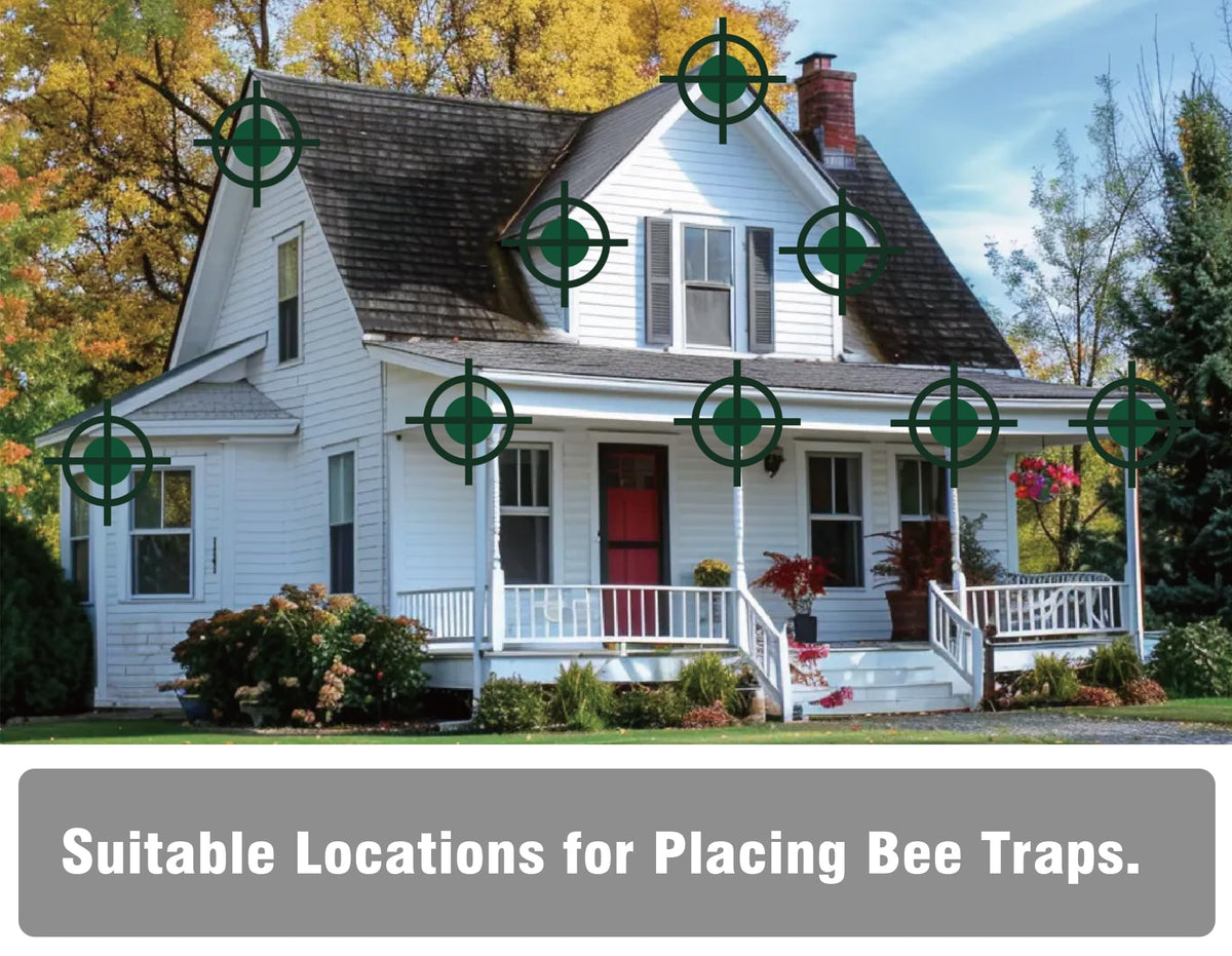 GRTRE nature chalet style trap made from paulownia wood shows durable weather resistance.