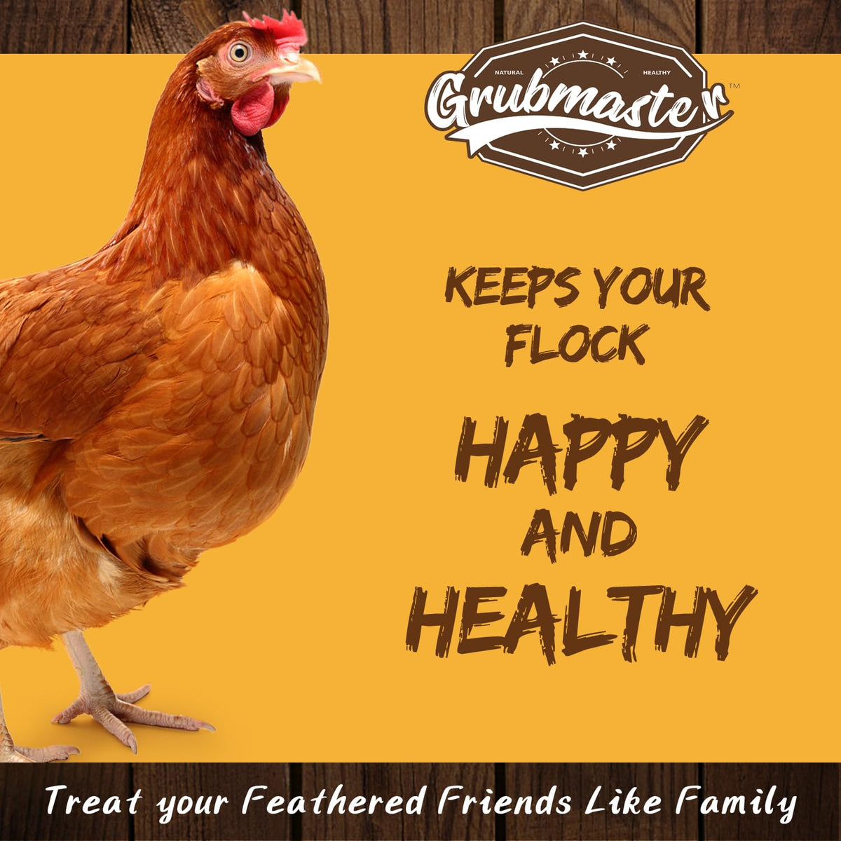 GRUBMASTER larvae feeding bowl, supports flock nutrition