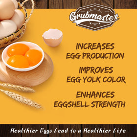 GRUBMASTER eggshells after feeding larvae show potential improvement