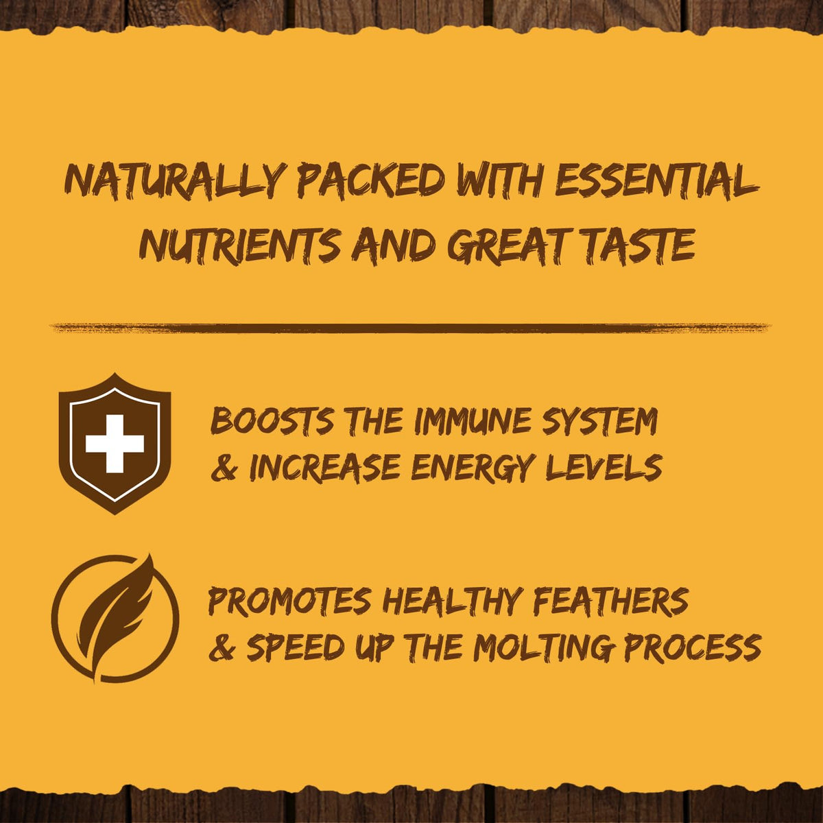 GRUBMASTER flock enjoying natural treat – backyard poultry