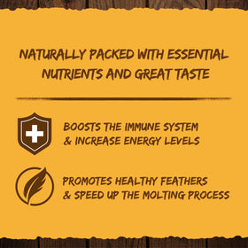 GRUBMASTER flock enjoying natural treat – backyard poultry