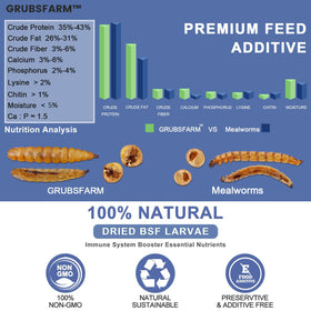 GRUBSFARM BSF larvae packaging showing premium, shelf stable feed option