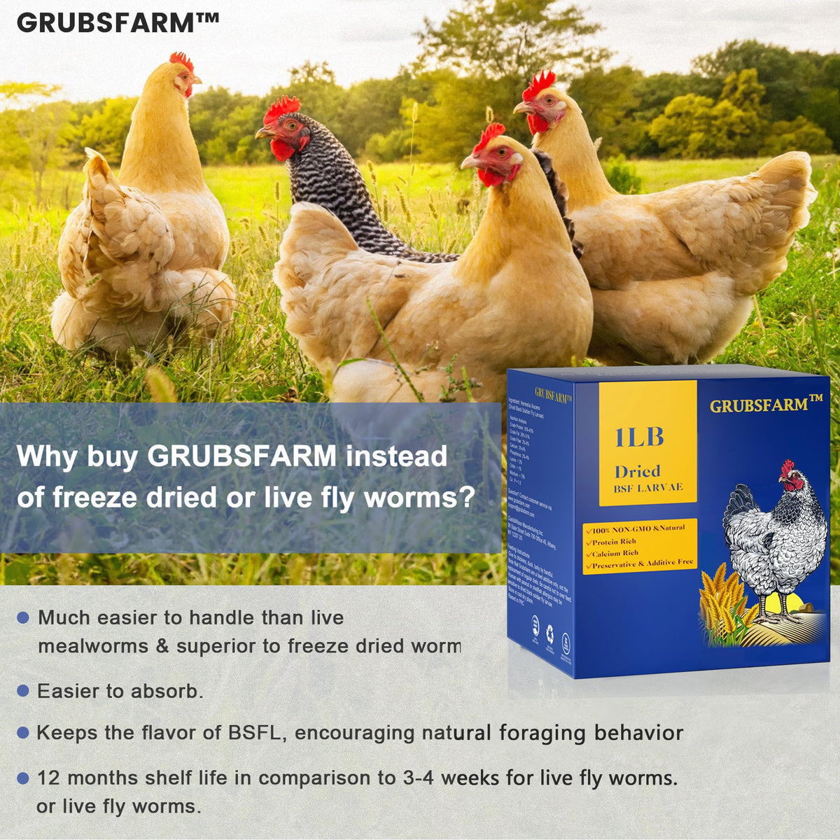 GRUBSFARM BSF larvae illustrated for calcium rich protein and eggshell support