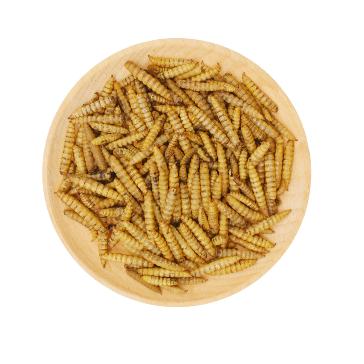 GRUBSFARM BSF larvae promote sustainable farming and waste reduction