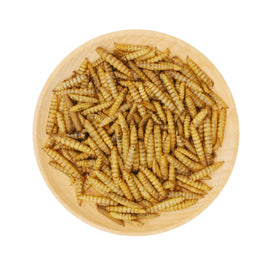 GRUBSFARM BSF larvae promote sustainable farming and waste reduction