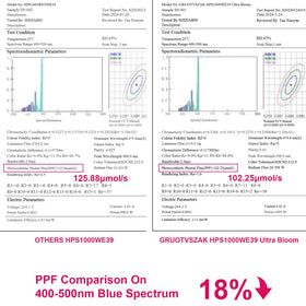 GRUOTVSZAK HPS 1000W warm-up-time diagram shows quick full brightness.