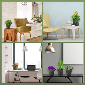 GS Garden durable color surface resists sunlight and brightens spaces.