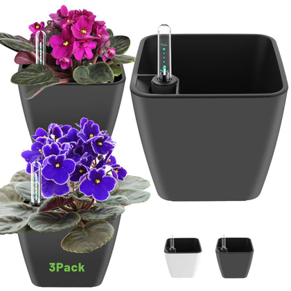 GS Garden self-watering planter with water level indicator keeps African violets hydrated.