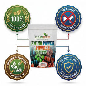 Lush lawn with Amino Power Powder as a nitrogen boost