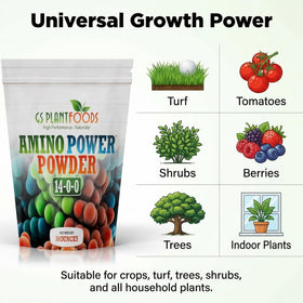 Vegetables thriving in the garden after Amino Power Powder application