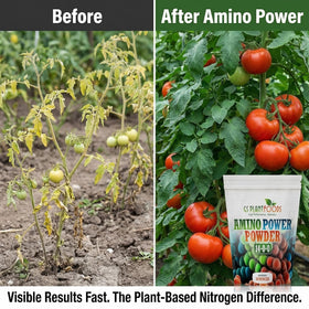 Amino Power Powder dissolves completely in water for easy mixing