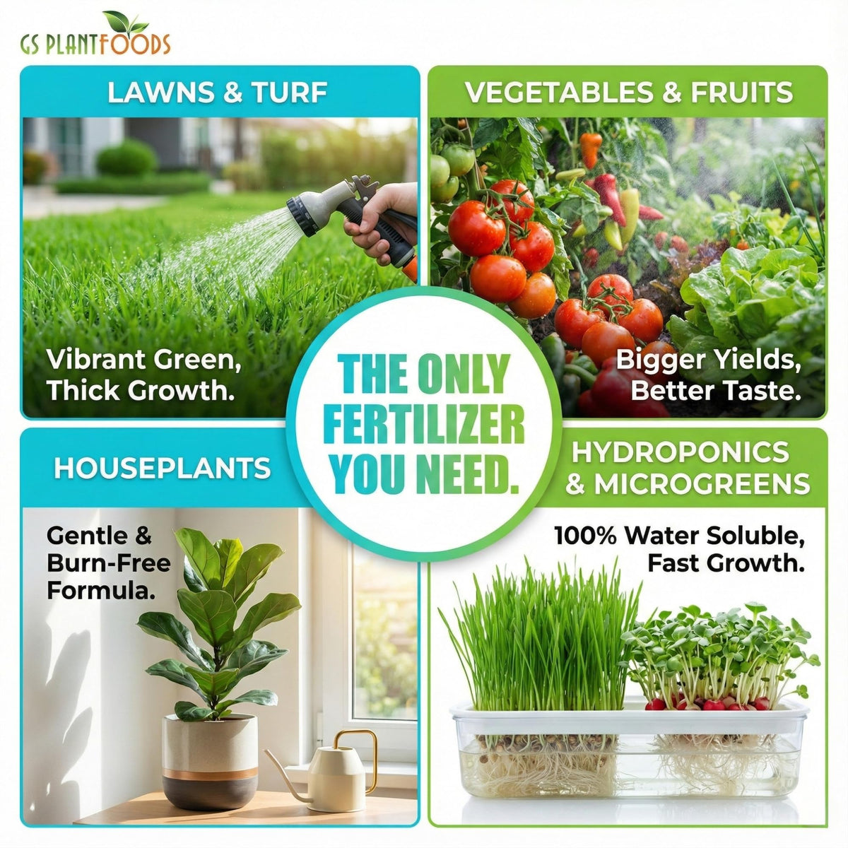 Houseplants treated with Ocean Magic Sea Minerals to support root development.