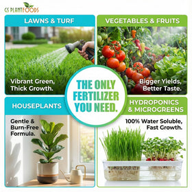 Houseplants treated with Ocean Magic Sea Minerals to support root development.