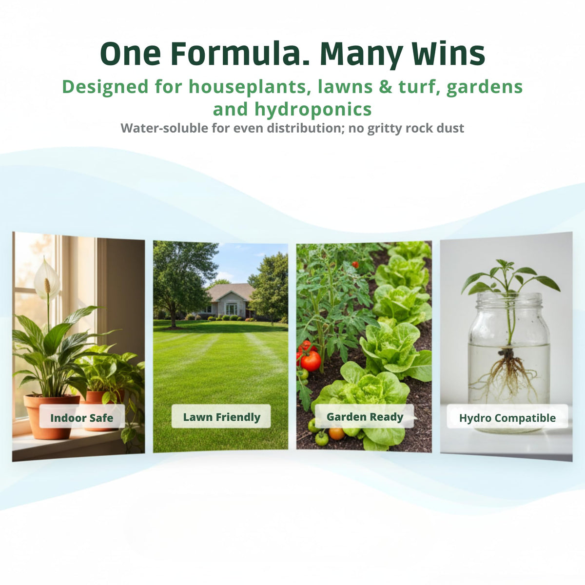 GS Plant Foods Ocean Magic sea minerals for houseplants.