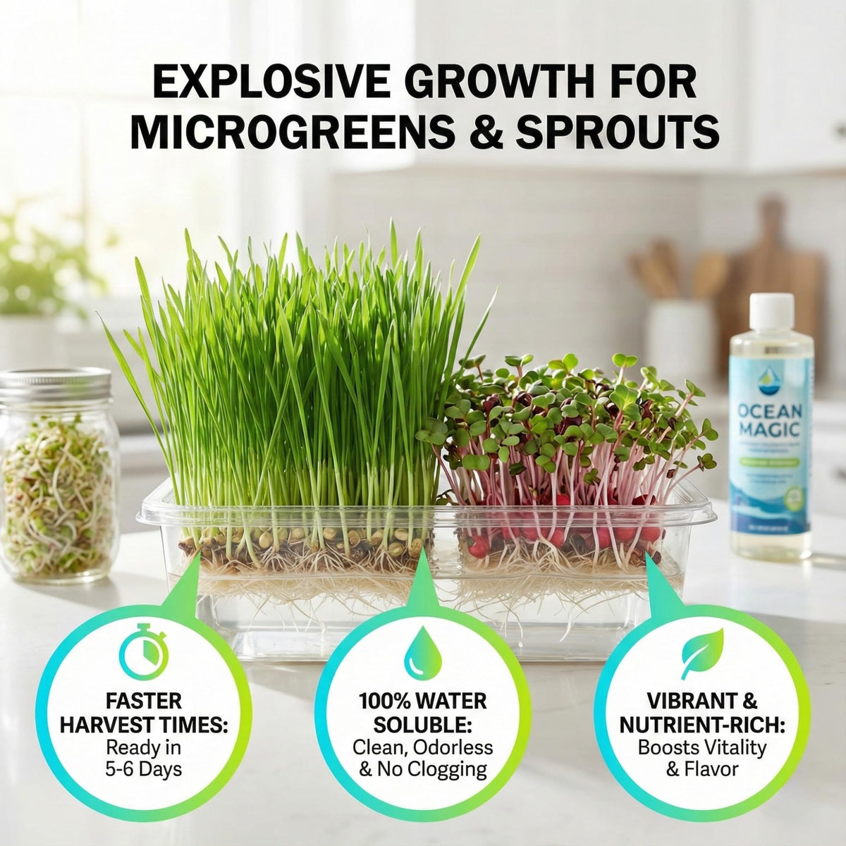Hydroponics setup using Ocean Magic Sea Minerals for nutrient balance.