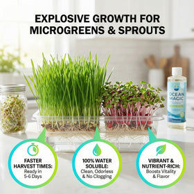 Hydroponics setup using Ocean Magic Sea Minerals for nutrient balance.