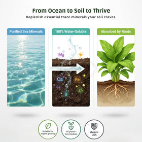GS Plant Foods Ocean Magic sea minerals lawn spray for healthy turf.