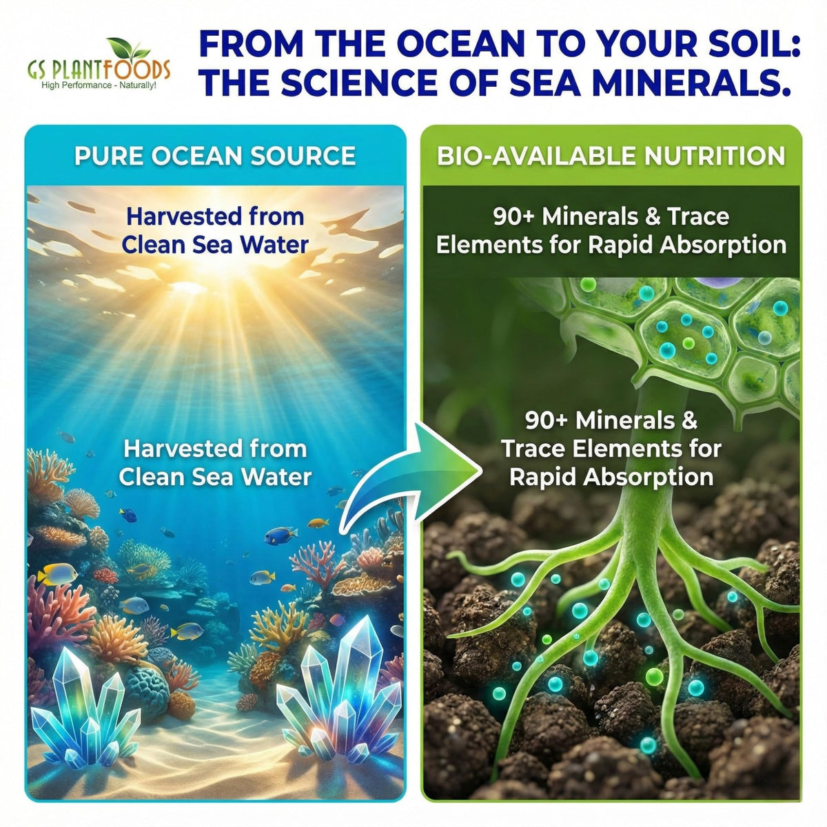 Lawn spray with Ocean Magic Sea Minerals for lush turf.