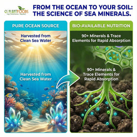 Lawn spray with Ocean Magic Sea Minerals for lush turf.
