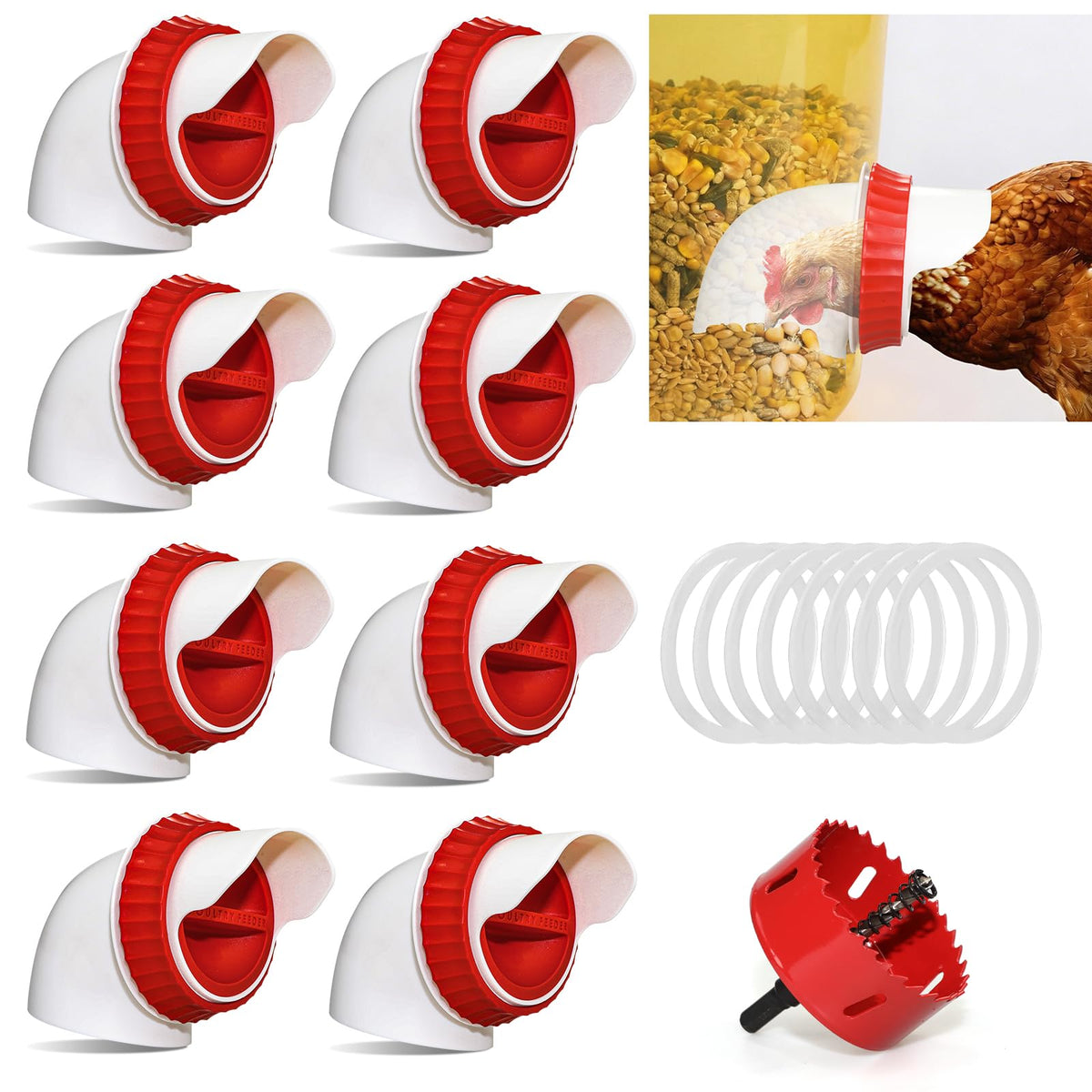 GSHWXD 8-pack chicken feeder ports reduce waste while keeping the coop tidy