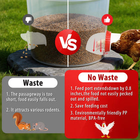 GSHWXD gravity-feed inlet provides continuous feed flow for active chickens