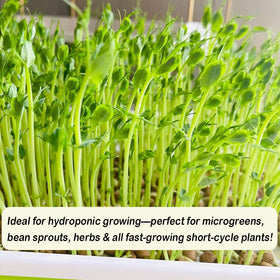 GSZEPSEX eco-friendly germination mat is compostable after use