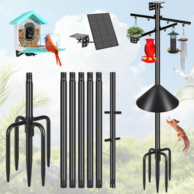 Gtongoko squirrel-proof pole outdoor setup for year-round birdwatching