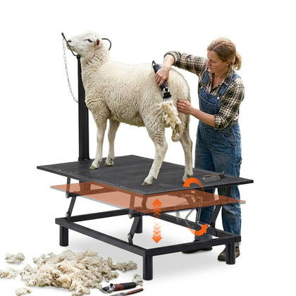 GTPLAYER goat stand with hand crank enables precise head positioning during milking.