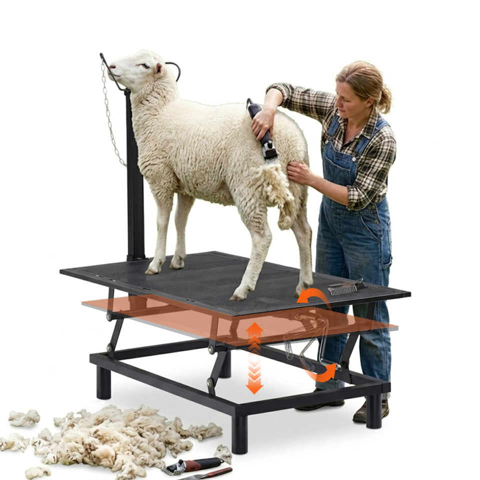 GTPLAYER goat stand with hand crank enables precise head positioning during milking.