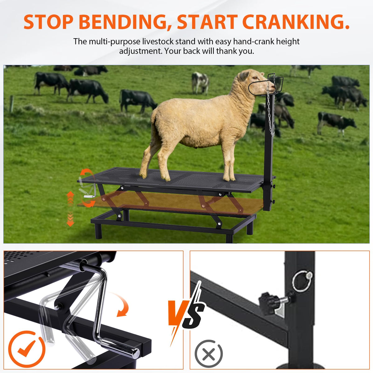 GTPLAYER goat stand headpiece adjustment supports calm grooming and health checks.