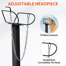 GTPLAYER multipurpose workstation suits milking, hoof trimming, and grooming tasks.