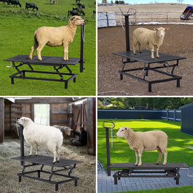 GTPLAYER rust-resistant coating protects the stand in outdoor farm environments.