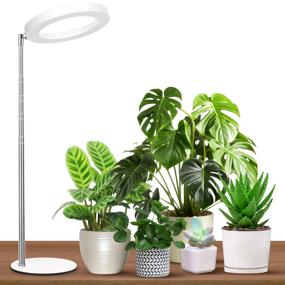 GTRUIIDY desk grow light base provides stable support for desktop plants.