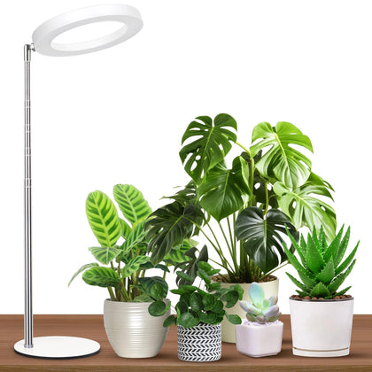 GTRUIIDY desk grow light base provides stable support for desktop plants.