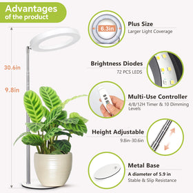 GTRUIIDY desk grow light brightness levels help match growth needs.