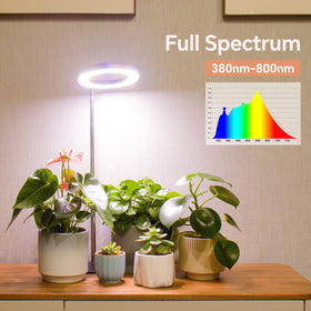 GTRUIIDY desk grow light full spectrum supports healthy indoor plant growth.