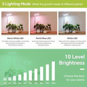 GTRUIIDY desk grow light timer display enables automated daily lighting.