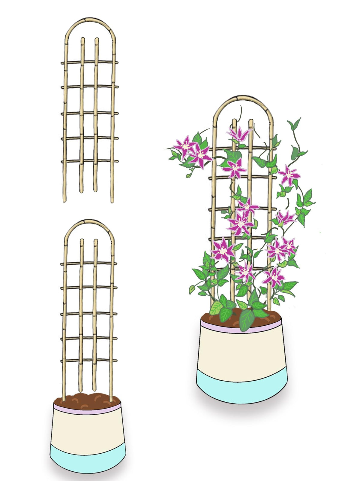 Assembled GUANGYE trellis at 24 inches height in a garden