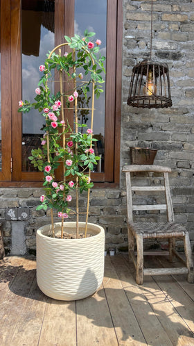 GUANGYE trellis adapted for patio use with climbing plants