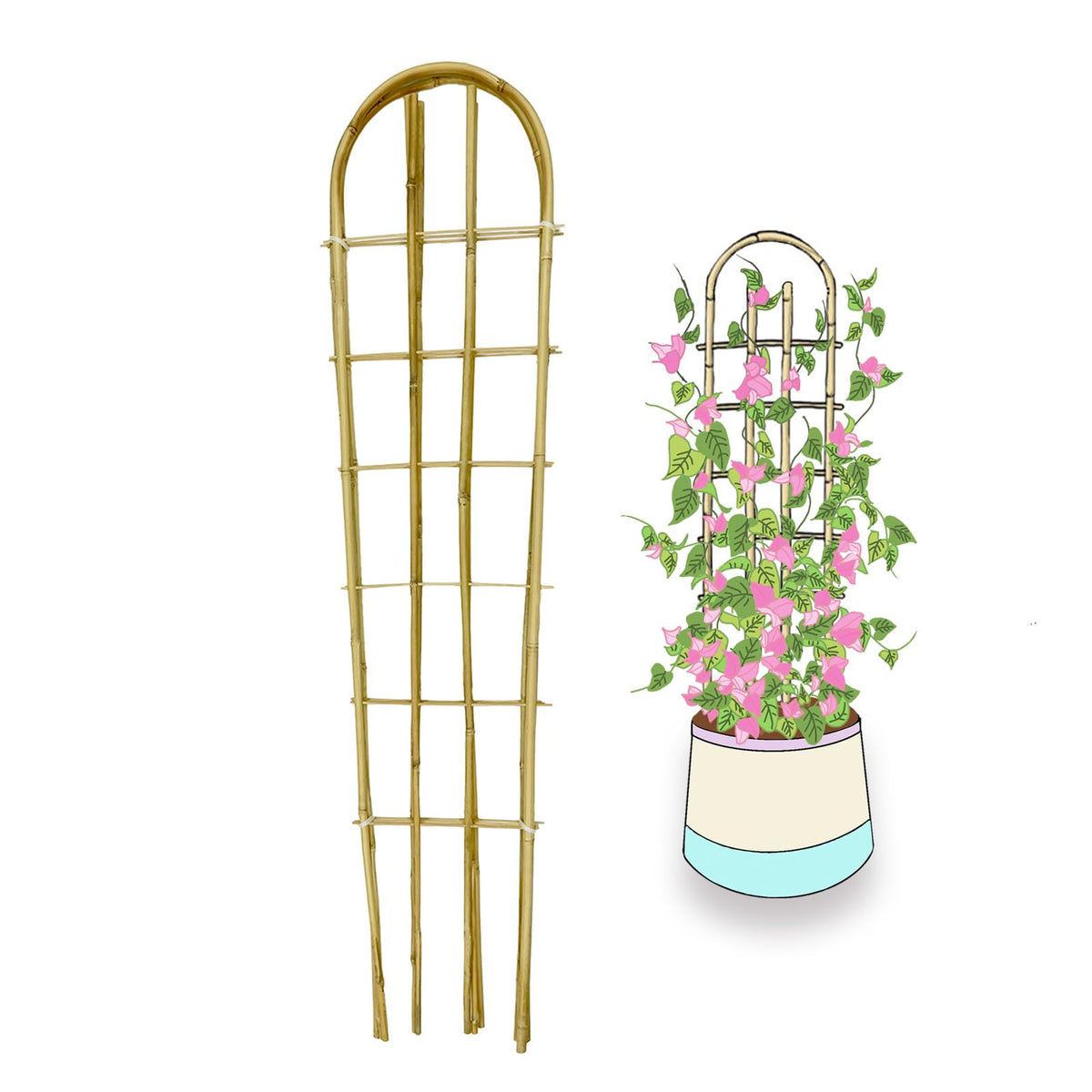 GUANGYE bamboo trellis U-shape 4ft six-pack ready for outdoor climbing plants